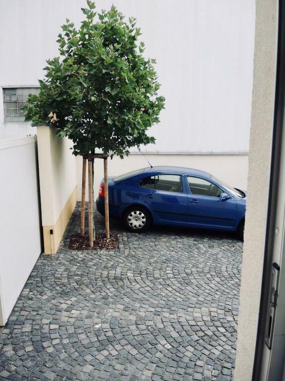 Modernes Apartment - Neustadt/Weinstrasse Stadt Neustadt an der Weinstraße Buitenkant foto